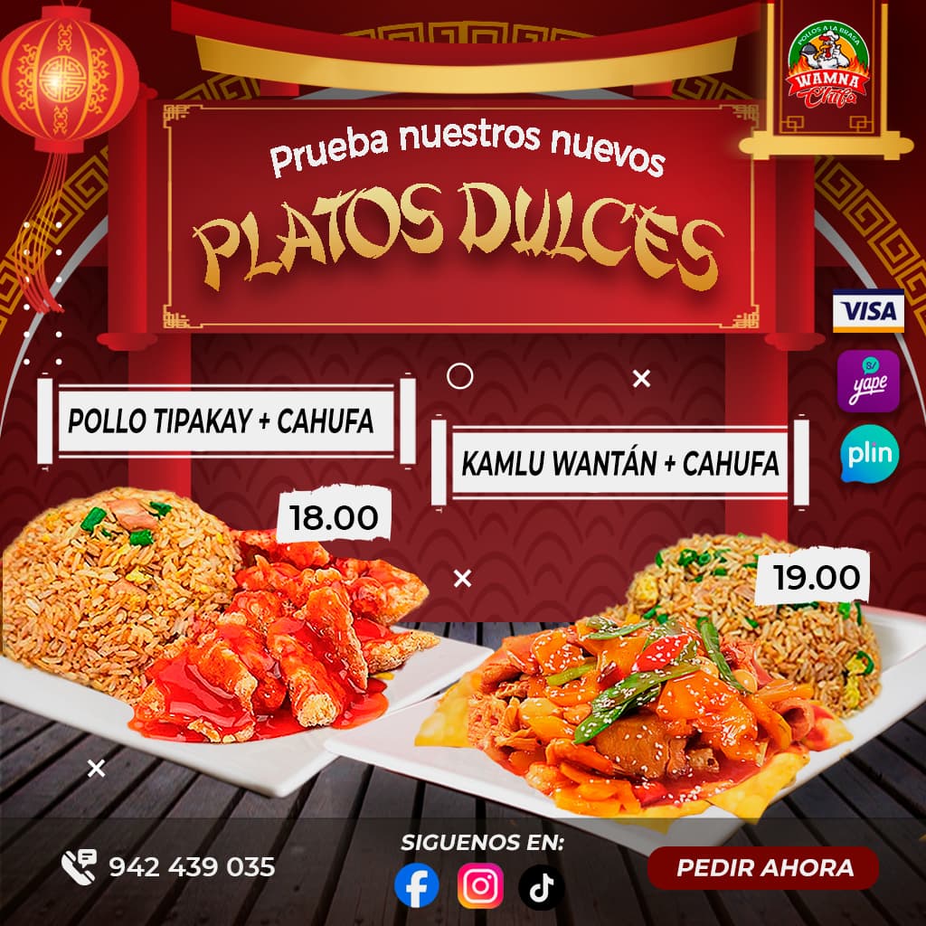 propuesta 3 chaufa (1)